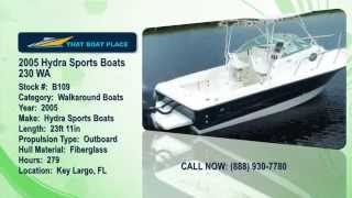 2005 Hydra Sports Boats 230 WA [upl. by Hilliary]