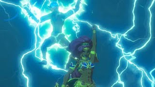 ThunderBlight Ganon REMATCH in The Illusory Realm  Zelda Breath of the Wild [upl. by Eladnek771]