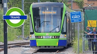 London Trams  Transport for London [upl. by Atikehs]