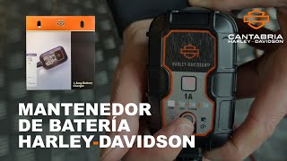 Mantenedor Batería HarleyDavidson  Configuración  Funcionamiento en Moto  1Amp Battery Charger [upl. by Zined]