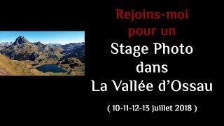 Rejoinsmoi pour un stage photo dans la vallée dOssau Pyrénées [upl. by Burra802]