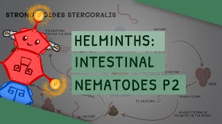 Helminths Intestinal Nematodes Part 2 features clinical importance diagnosis treatment [upl. by Elatsyrc]