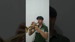 TrompetePiston 🎶🎺 Hino 204 CCB  Só Jesus é Amigo Verdadeiro ccb trompeteccb trompete hino [upl. by Petrie]