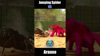 JUMPING SPIDER vs ARANEO n ARTHROPLUERA Tyzaew Short ArkSurvivalAscended [upl. by Alyose]