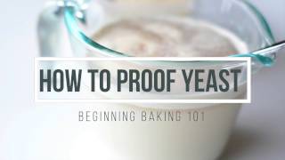 How to Proof Yeast and Why You Want to [upl. by Einnhoj]