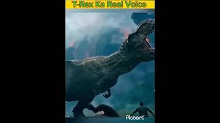 tRex real voice 😯😯😯trendingshorts ytshorts voice [upl. by Byrdie]