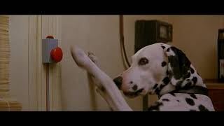 101 dalmatians 1996  pongos morning routine [upl. by Daisie]