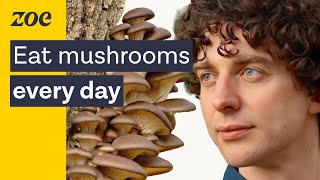 Mushrooms as medicine Uncovering the health secrets of fungi  Merlin Sheldrake amp Prof Tim Spector [upl. by Engapmahc]