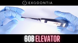 60B ELEVATOR  OnlineExodontiacom [upl. by Frodine]