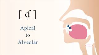 ɗ̥  ƭ  unvoiced apical alveolar implosive stop [upl. by Aicul]