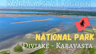 National Park Divjak  Karavasta 2023  Lagoon of Karavasta  🇦🇱 Albania MTravelVlog [upl. by Svend387]