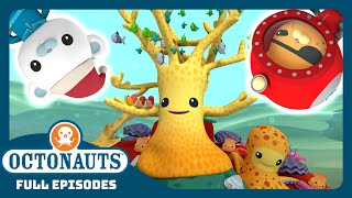 Octonauts  🎄 The Great Christmas Rescue ⛑️  Season 1  Full Episodes  Cartoons for Kids [upl. by Alludba425]