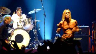 Iggy Pop amp the Stooges Raw Power Lille Zenith HD 17042010 Festival Paradis Artificiels [upl. by Hogen483]