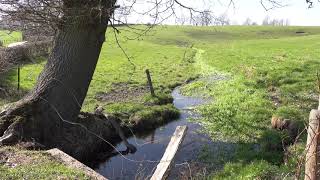 Wandeling rond het Kruis van Charneux [upl. by Vandyke]