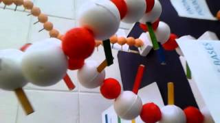 Maquete completa sobre DNA e RNA [upl. by Roxine]