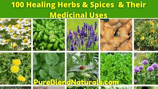 Top 100 Best Healing Medicinal Herbs Spices And Plants Names Health Benefits And Medicinal Uses [upl. by Dorina]