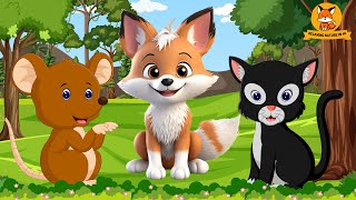 Cute Animal Moments  Mouse Fox Panther Cat Elephant  Animal Videos [upl. by Liw]