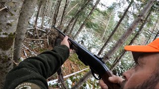 StillHunting Deer In Northern Maine Week 1 [upl. by Canada]