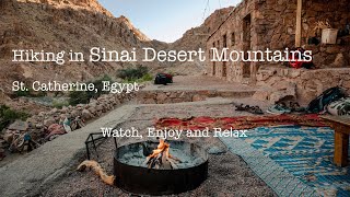 Hiking 48Km in Sinai Mountains St Catherine Egypt  4K Video for RelaxStudyMeditation [upl. by Cahilly]