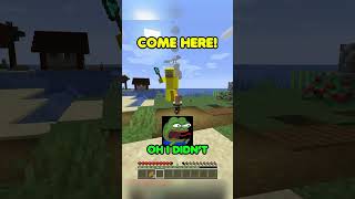 Craziest Village Chase shorts minecraft minecraftshorts [upl. by Erised]