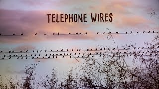 Smith amp Thell  Telephone Wires Lyric Video [upl. by Aradnahc629]