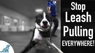 How To Teach Your Dog Not To Pull On The Leash EVER [upl. by Biddy]