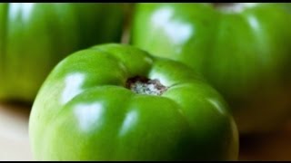 Faster tomato ripening under cover in autumn before clearing to plant for winter [upl. by Einnep]