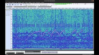 Sound geomagnetic field 19102024 start17033h 41h53m  accelerated 1000 times 1 Hz  1000 Hz [upl. by Nav]