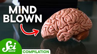 5 Brain Facts That Will Blow Your Mind [upl. by Halak]