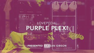 Lovepedal  Purple Plexi 2016 with Hermida Audio USA EPH3 [upl. by Eelannej]