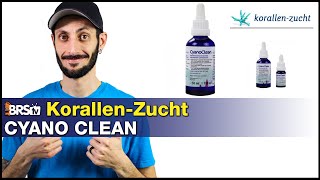 KorallenZucht Cyano Clean A natural way to eliminate Cyanobacteria and keep it away [upl. by Essinger428]