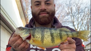 Yellow Perch Catch and Cook [upl. by Bashemath867]