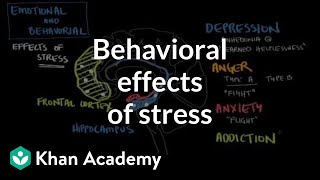 Behavioral effects of stress  Processing the Environment  MCAT  Khan Academy [upl. by Hiroko]