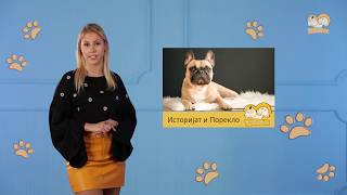 Moj ljubimac ep5  Francuski buldog  21102019 [upl. by Carola881]