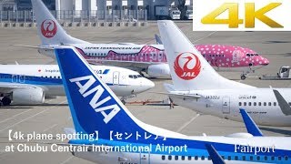 【4k plane spotting】【セントレア】 at Chubu Centrair International Airport [upl. by Madella]