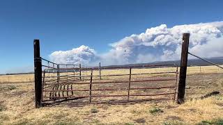 Park Fire 4 PM Day 3 Cal Fire Pilots are Badass [upl. by Etterrag243]