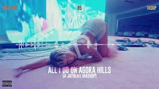 Doja Cat Troop amp B5  All I Do on Agora Hills A JAYBeatz Mashup HVLM [upl. by Iroak]