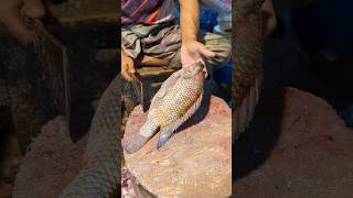 Full video of 45 days of making fish traps The boy was lucky to catch many big fish in the stream [upl. by Ursel757]