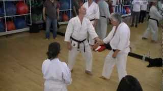 Tom Muzila Self Defense Highlights Ohshima Shotokan Karate of America [upl. by Aened]