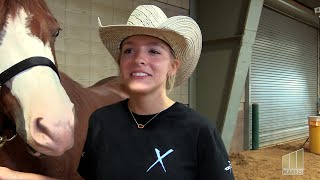 2023 100X Reining Classic  Emily Klucevsek [upl. by Keith]