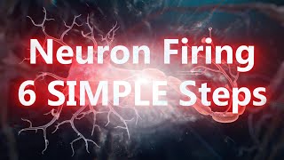 Neuron Firing in 6 Simple Steps [upl. by Julienne625]