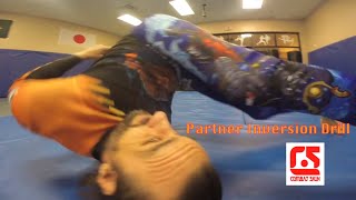 BJJ Partner Inversion Drill [upl. by Pape966]