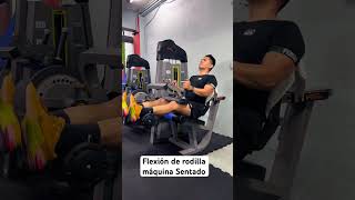 Flexión De Rodilla Máquina Sentado [upl. by Ekaterina]