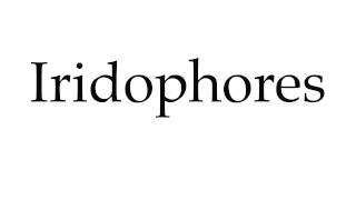 How to Pronounce Iridophores [upl. by Yarod]