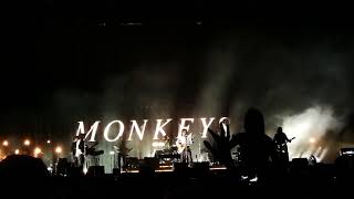 Arctic Monkeys  Do I Wanna Know Opener Festival Gdynia 4072018 [upl. by Ethben]