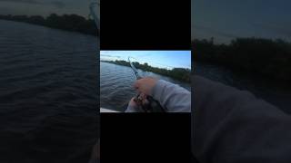 Big snook fishing [upl. by Summer]