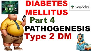 DIABETES MELLITUS  Part 4 Pathogenesis  Type 2 Diabetes Mellitus [upl. by Foss]