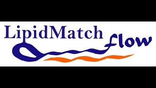 LipidMatch Flow V 10 Tutorial 4 Interpreting Results [upl. by Nahsed]