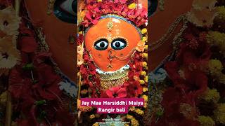 Maiya ki mudariya Jay 🚩Maa Harsiddhi Maiya Rangir bali 🚩🙏shots viralvideo devigeet [upl. by Graybill]