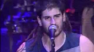 Melendi  El Informe de Forense  con letra [upl. by Yevad]